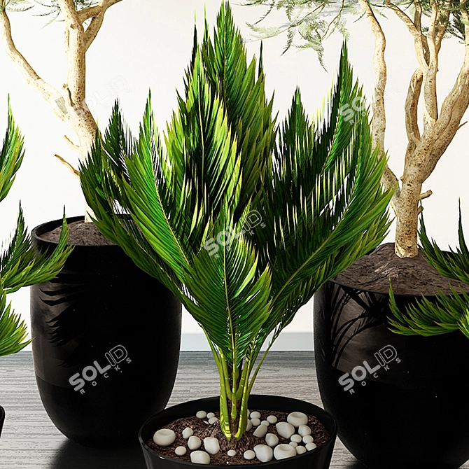 Indoor Greenery: Vol. 21 3D model image 9