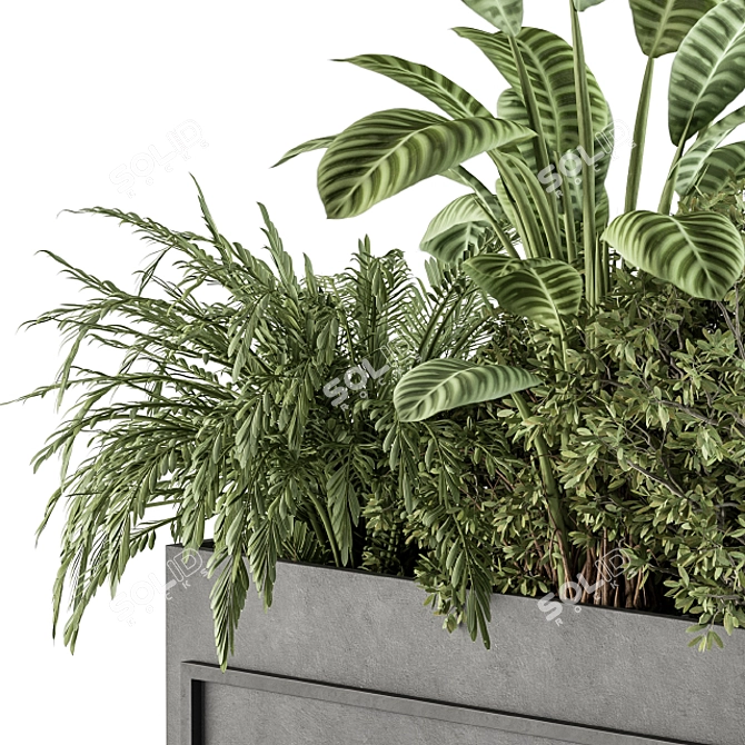 Elegant Greenery in Black: Indoor Plant Set 3D model image 2