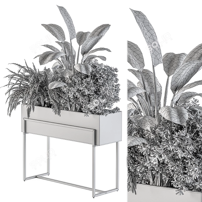 Elegant Greenery in Black: Indoor Plant Set 3D model image 3