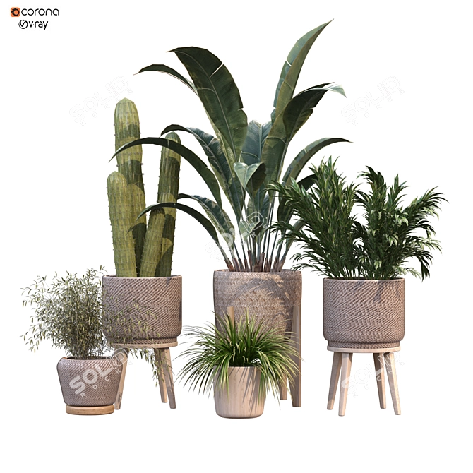 Green Oasis Vase Collection 3D model image 1