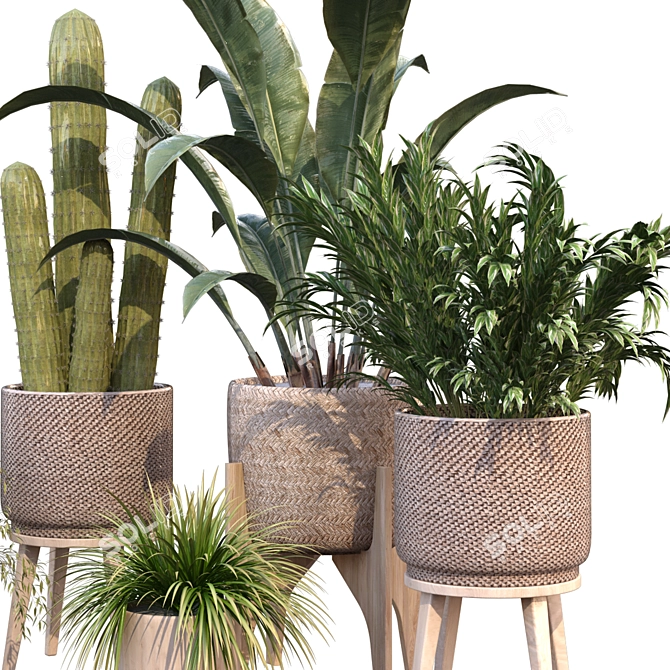 Green Oasis Vase Collection 3D model image 2