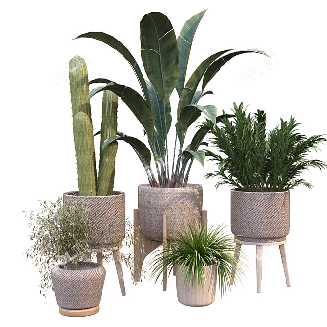 Green Oasis Vase Collection 3D model image 3