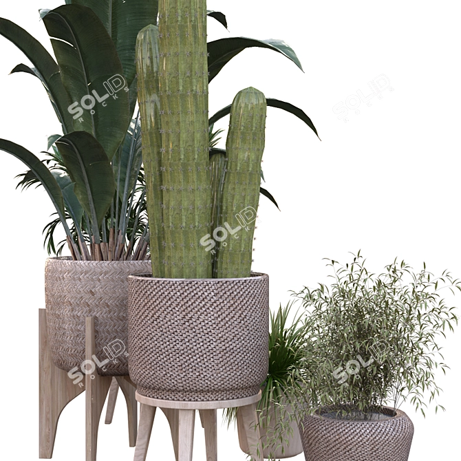 Green Oasis Vase Collection 3D model image 4