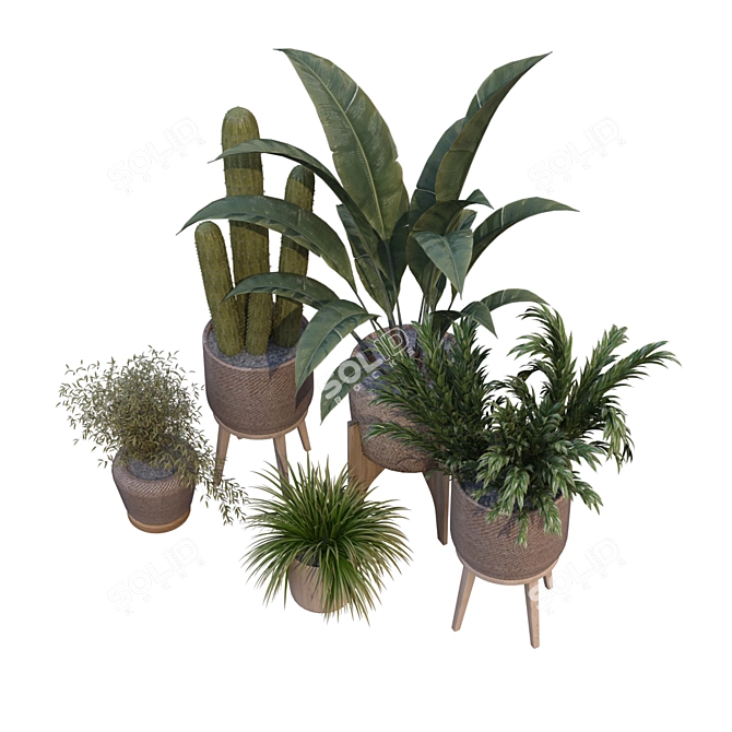 Green Oasis Vase Collection 3D model image 5