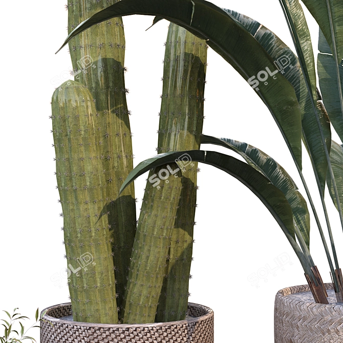 Green Oasis Vase Collection 3D model image 6