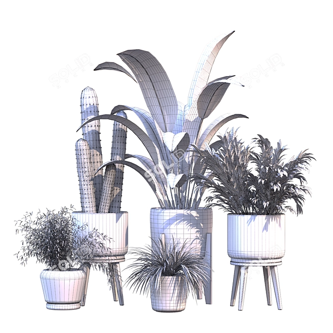 Green Oasis Vase Collection 3D model image 7