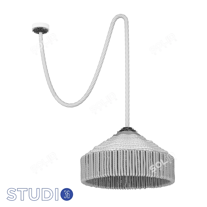 Dialma Brown Hemp Rope Ceiling Lamp 3D model image 2