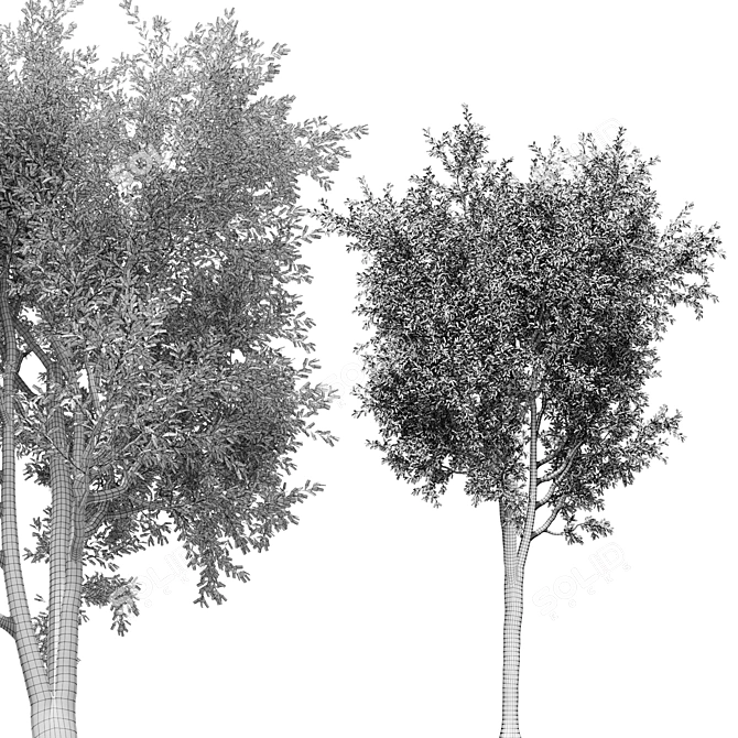 Lush Landscape Tree 25ft 3D model image 5