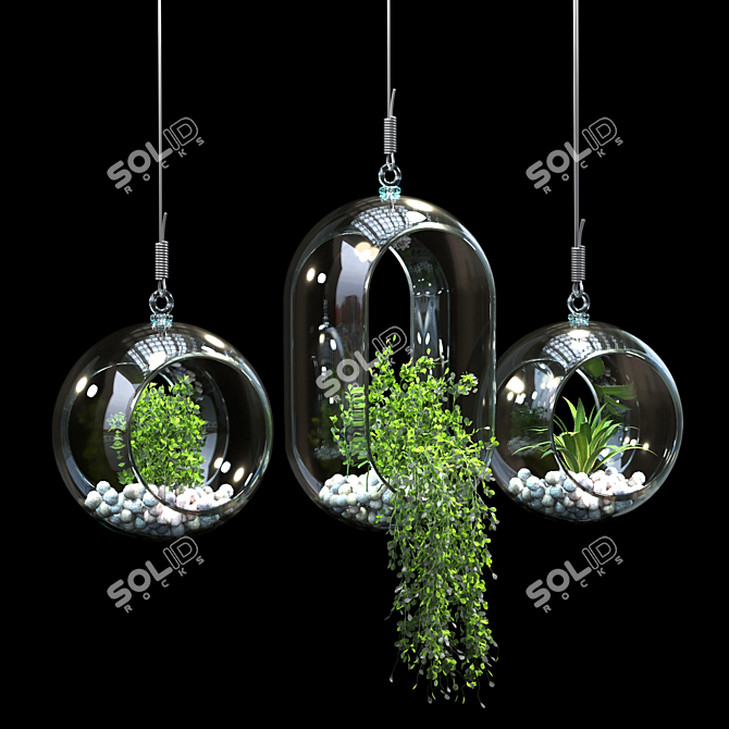 Modern Pendant Plant Decor 3D model image 1