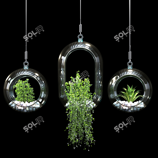 Modern Pendant Plant Decor 3D model image 2