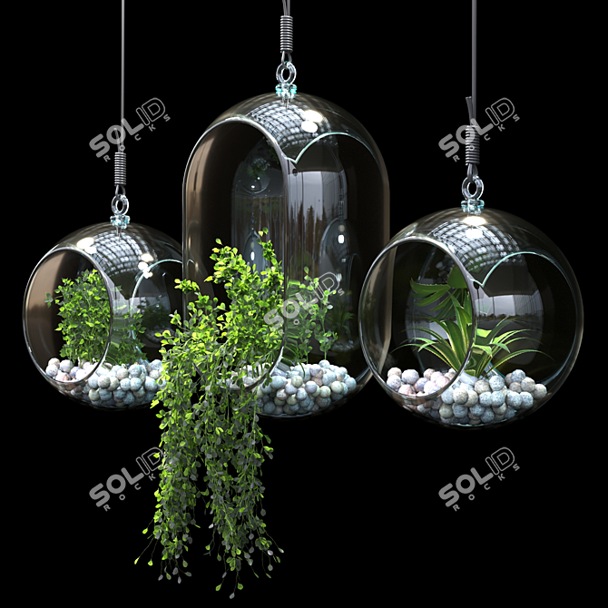 Modern Pendant Plant Decor 3D model image 3