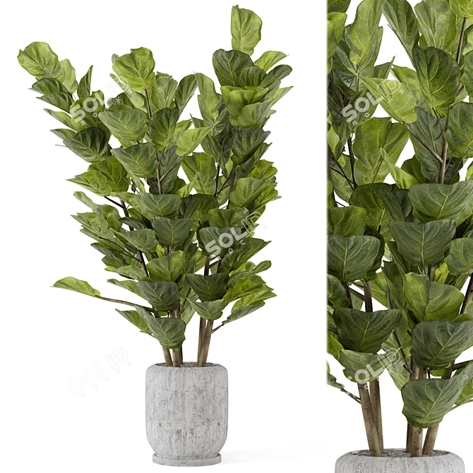 Rusty Concrete Pot Indoor Plant Set 3D model image 1