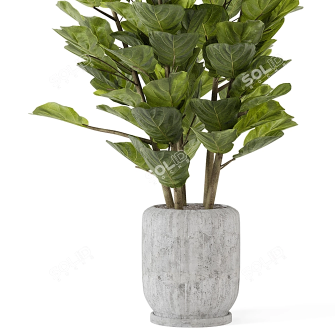 Rusty Concrete Pot Indoor Plant Set 3D model image 3