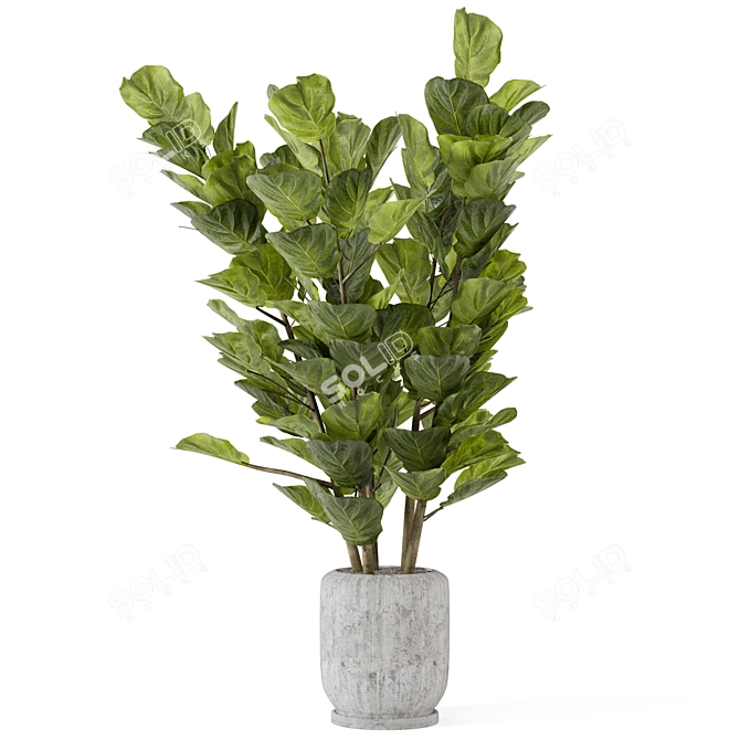 Rusty Concrete Pot Indoor Plant Set 3D model image 4