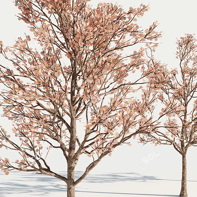 Majestic 3D Tree Model 3D model image 2