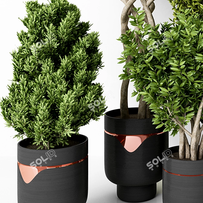 Modern Green Indoor Plant: Vol. 22 3D model image 2