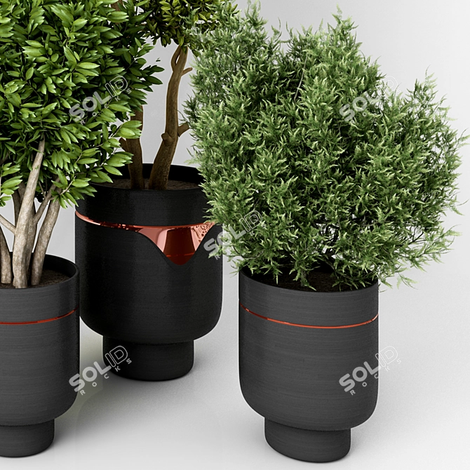 Modern Green Indoor Plant: Vol. 22 3D model image 3