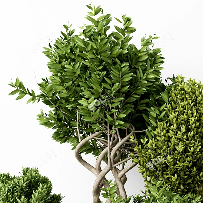 Modern Green Indoor Plant: Vol. 22 3D model image 4