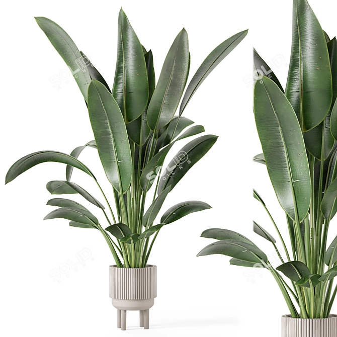 Standing Legs Concrete Pot Set - Indoor Plants 3D model image 1