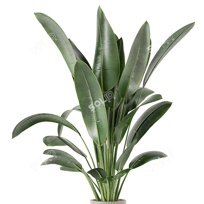 Standing Legs Concrete Pot Set - Indoor Plants 3D model image 3