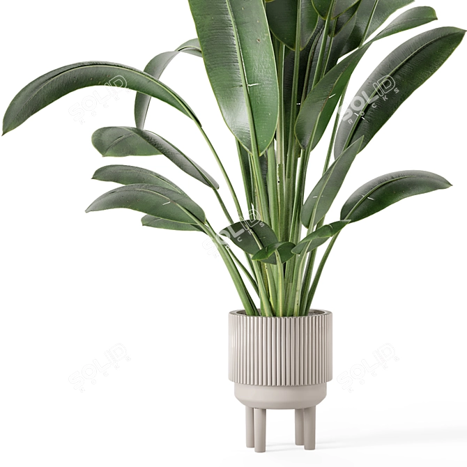 Standing Legs Concrete Pot Set - Indoor Plants 3D model image 4