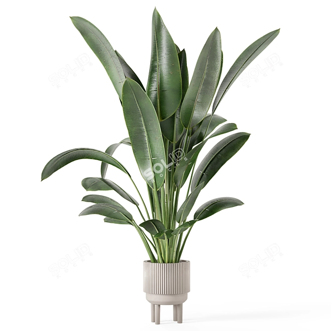 Standing Legs Concrete Pot Set - Indoor Plants 3D model image 5