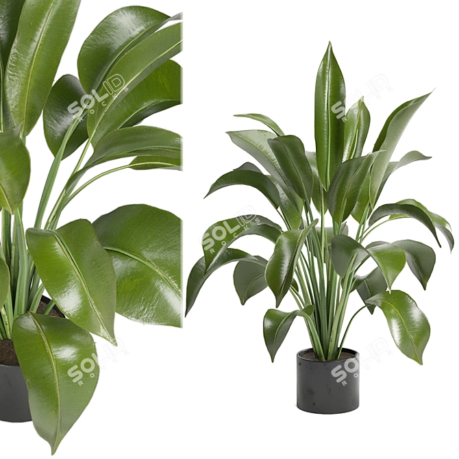 Ferm Living Bau Pot Large - Set 136: Indoor Plants 3D model image 1