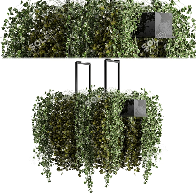 Metal Box Hanging Plant Set 3D model image 2
