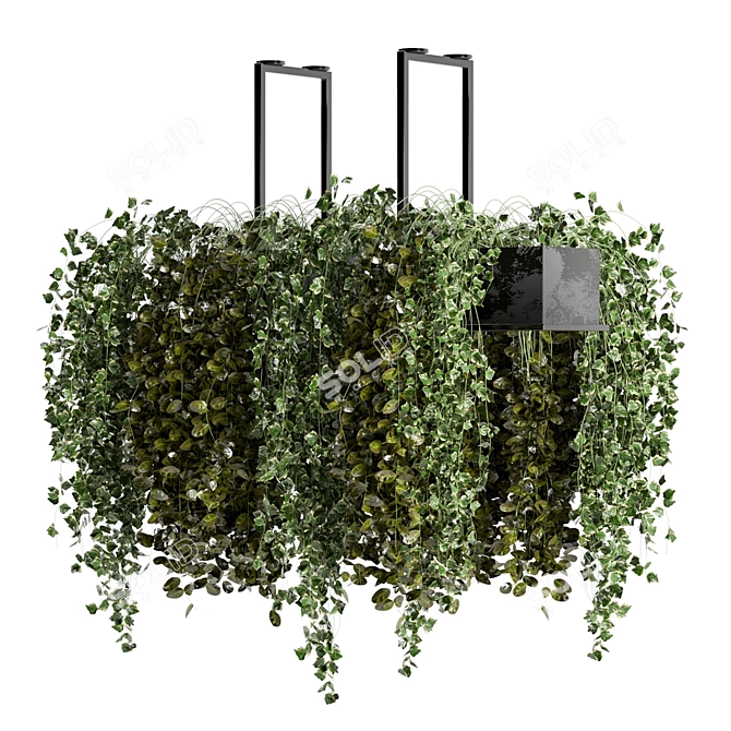 Metal Box Hanging Plant Set 3D model image 4