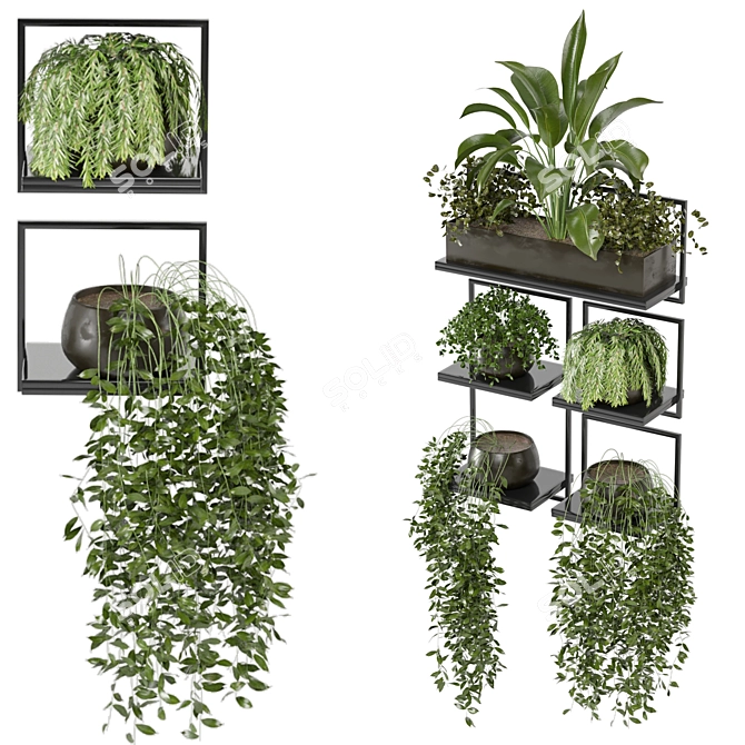 Rustic Concrete Pot Indoor Plants - Set 138 3D model image 2