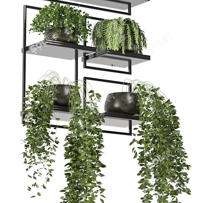 Rustic Concrete Pot Indoor Plants - Set 138 3D model image 6