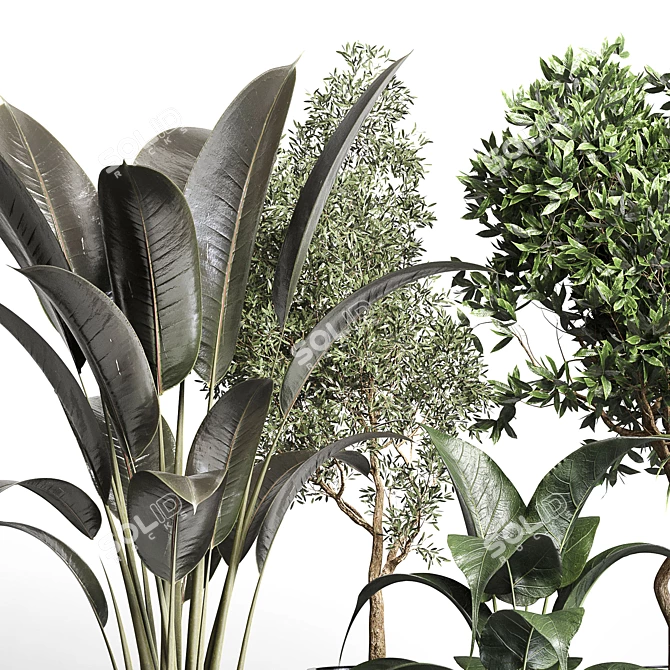 Botanical Bliss: 156 Pot Indoor Plant Collection 3D model image 2