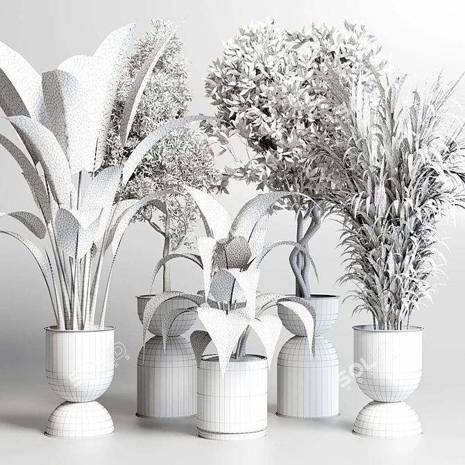 Botanical Bliss: 156 Pot Indoor Plant Collection 3D model image 6