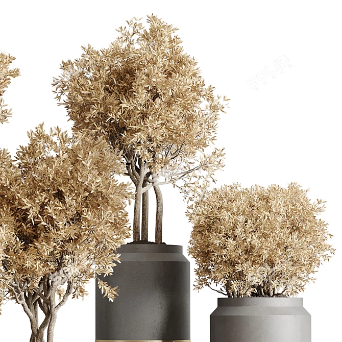 Concrete Pot Collection with Dry Plants 3D model image 4