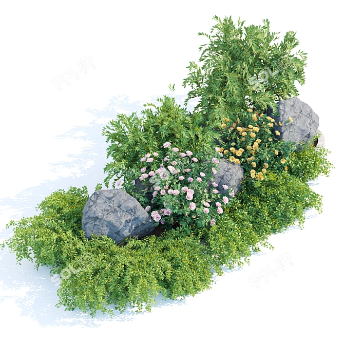 Garden Plants Collection for Outdoor Landscaping 3D model image 4