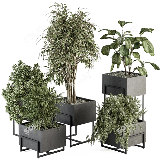 Botanical Bliss: Indoor Plant Set 3D model image 1