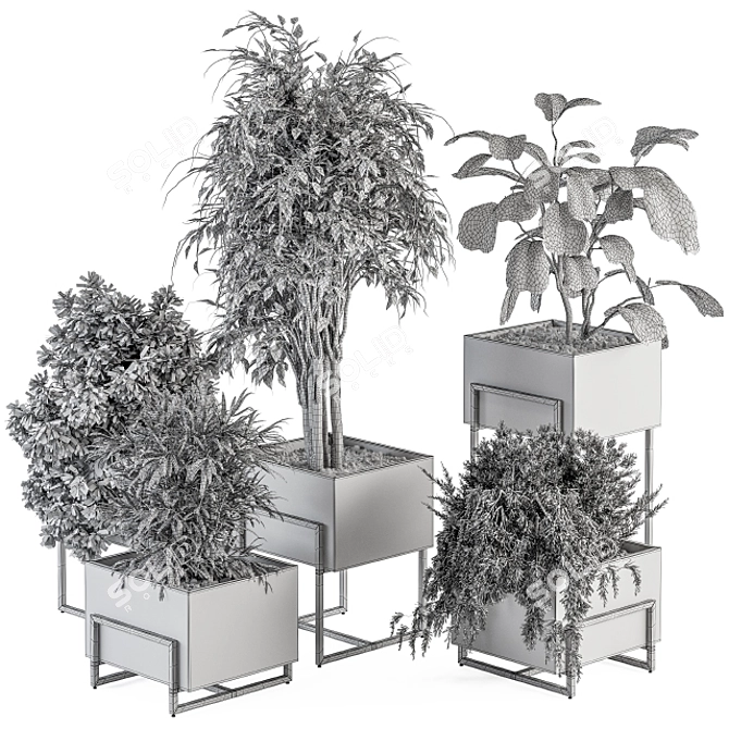 Botanical Bliss: Indoor Plant Set 3D model image 6