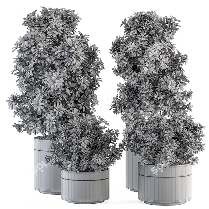 Title: Elegant Indoor Plant Collection 3D model image 5