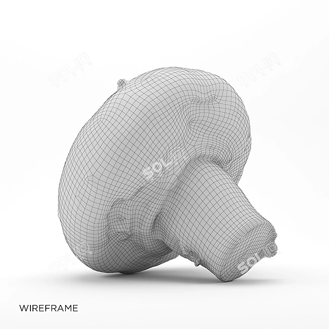 Crimini Mushroom - Photorealistic 3D Model 3D model image 6