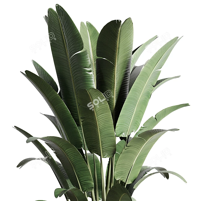 Ravenala Concrete Vase: Indoor Outdoor Plants 3D model image 2