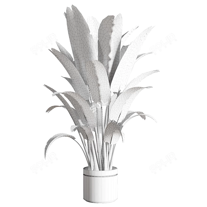 Ravenala Concrete Vase: Indoor Outdoor Plants 3D model image 3