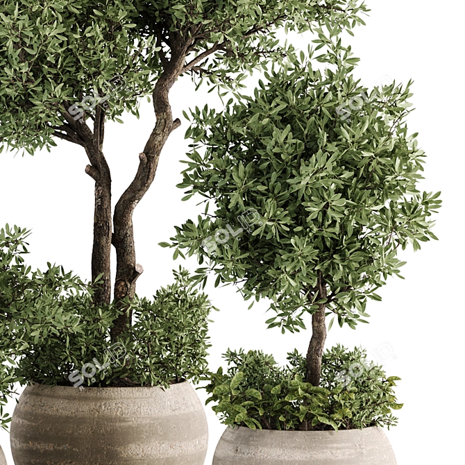 Stylish Indoor Plant Set 05 3D model image 4