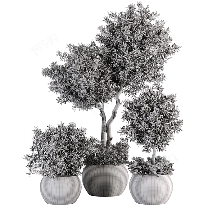 Stylish Indoor Plant Set 05 3D model image 5
