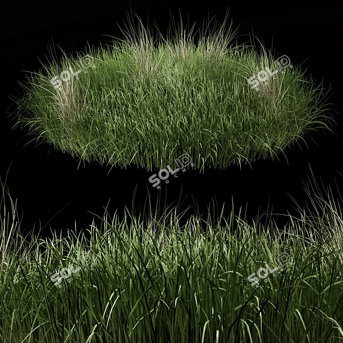 Outdoor Bush Set 343 - 3D Plant Models 3D model image 1
