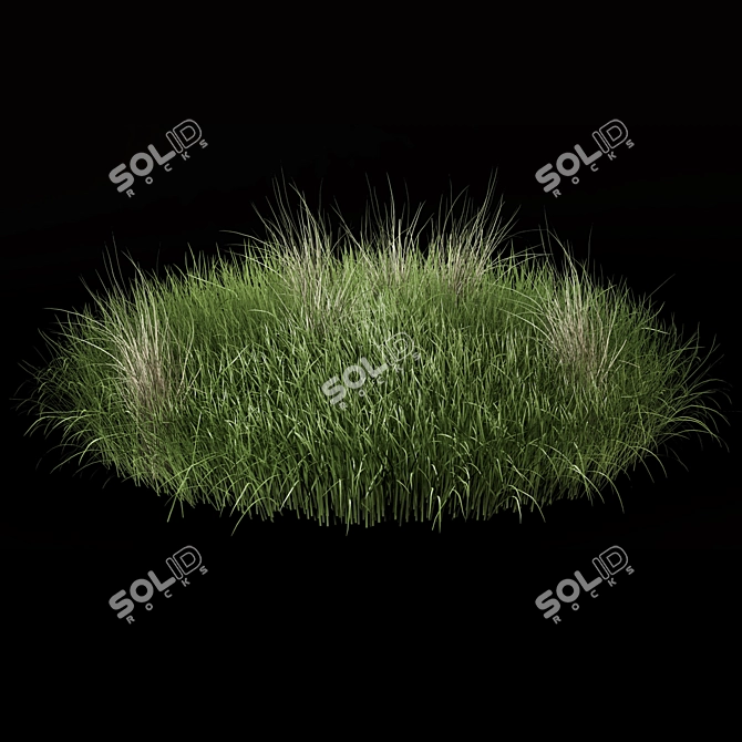 Outdoor Bush Set 343 - 3D Plant Models 3D model image 4