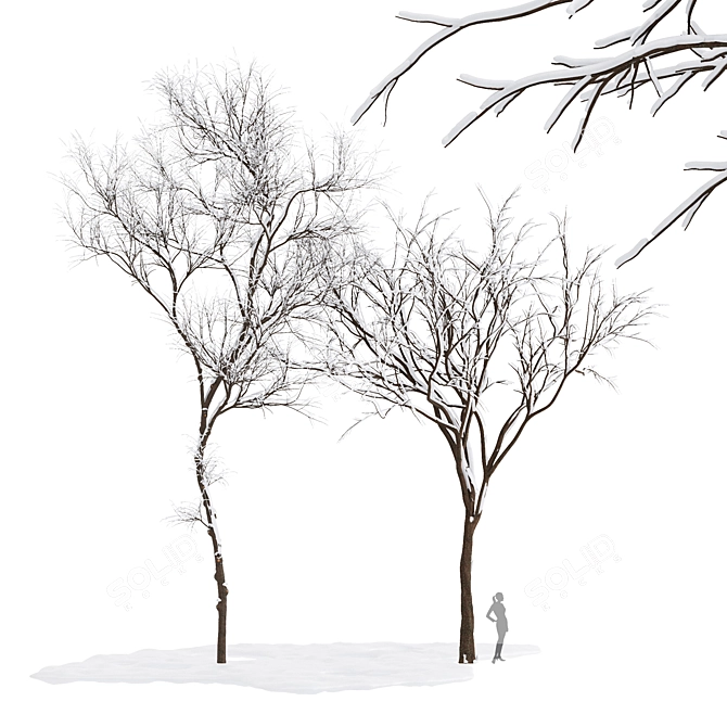 Winter Wonderland Tree Collection 3D model image 1