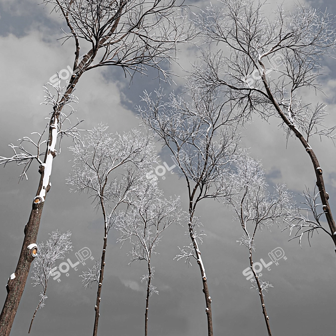 Winter Wonderland Tree Collection 3D model image 2