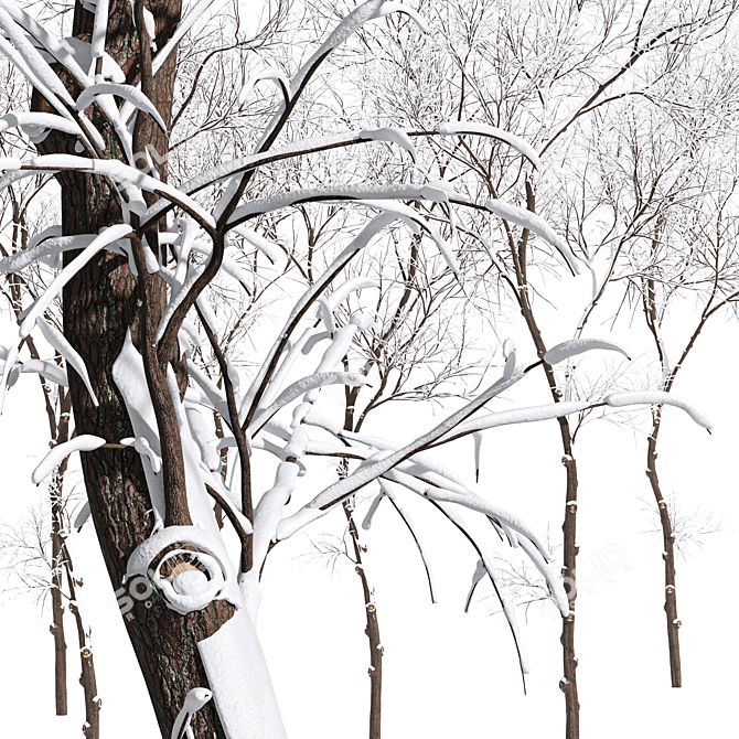 Winter Wonderland Tree Collection 3D model image 3