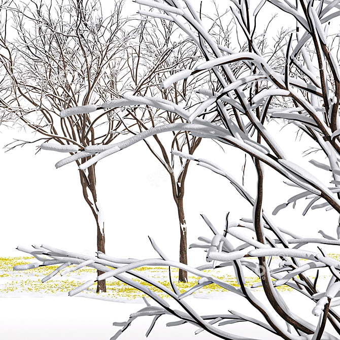 Winter Wonderland Tree Collection 3D model image 4