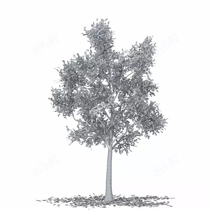 Pristine Treeloh Tree: Realistic 3D Model 3D model image 2